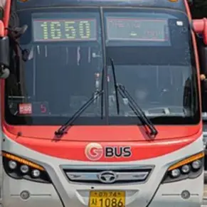 Profile image of 나이트라이더