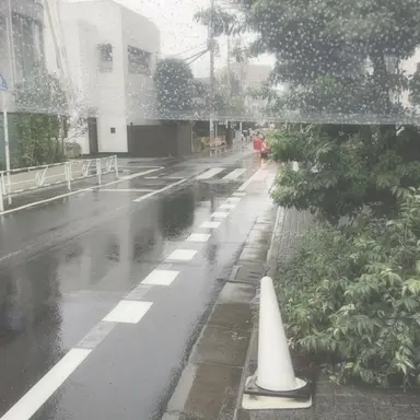 Profile image of 유강민