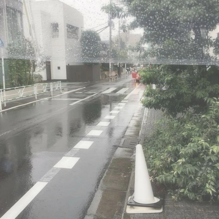 유강민