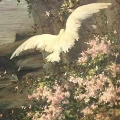 Profile image of 에카르트 아네이스