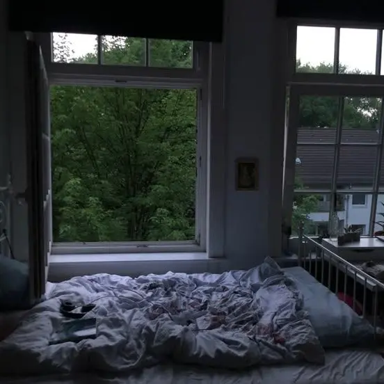 TimidMoss6632의 오빠 말 들어.