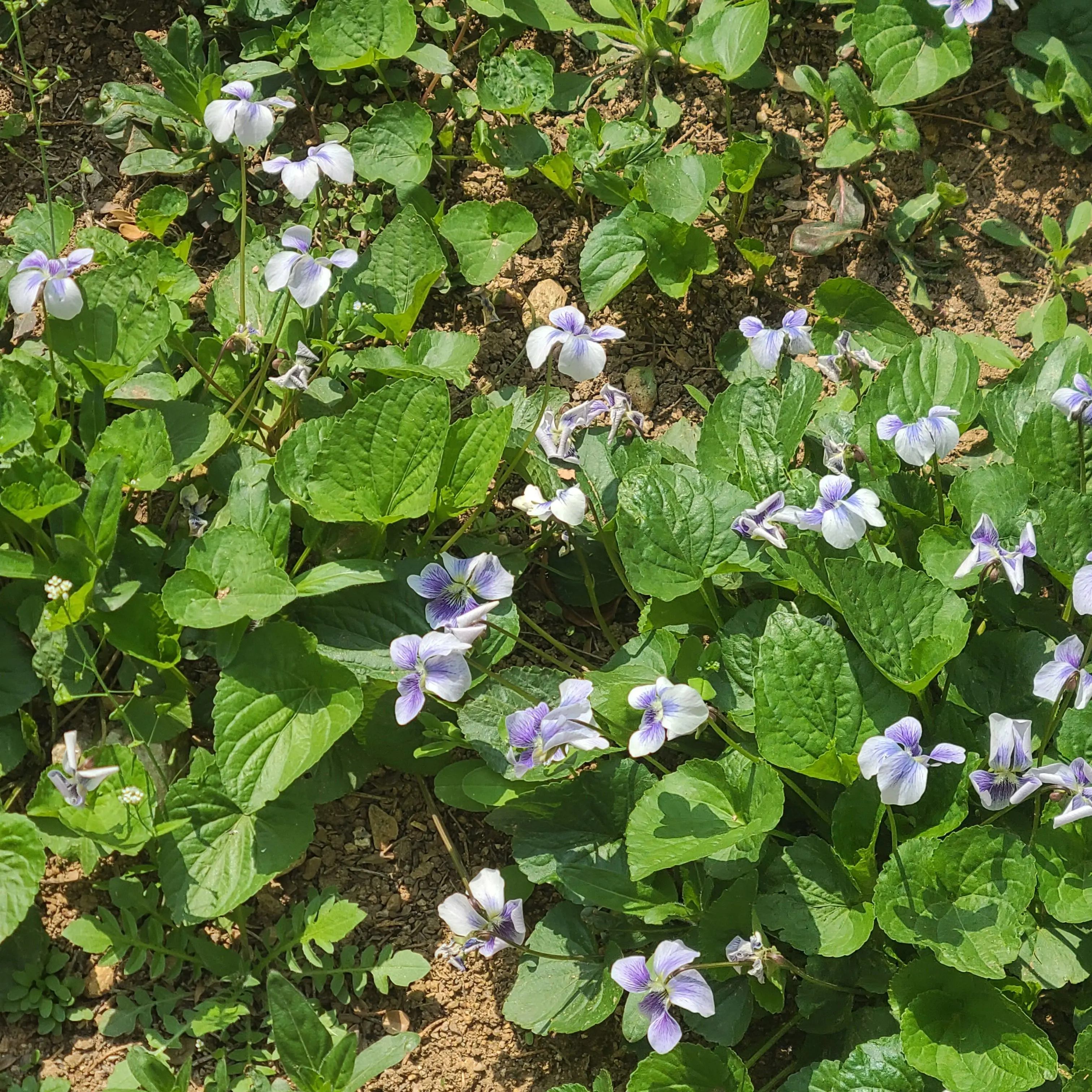 simon_bysosimon의 왓더퍽;;;;;