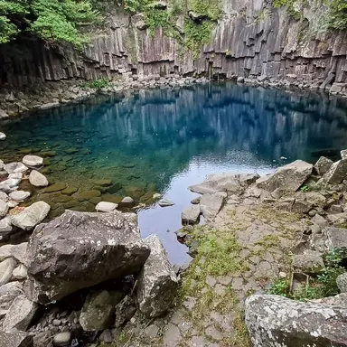 Profile image of 오뉴