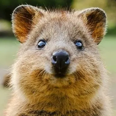 Profile image of 한지성