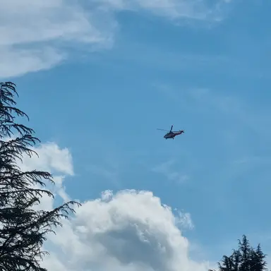 Profile image of 쿠키들