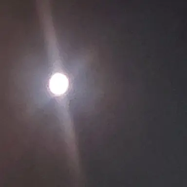 Profile image of 늑대