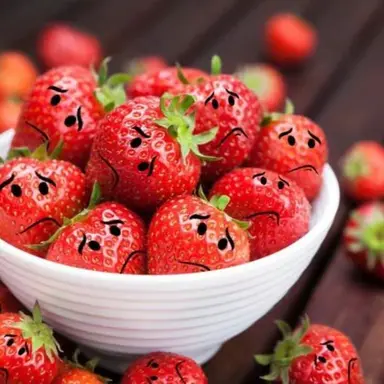 Profile image of 베리