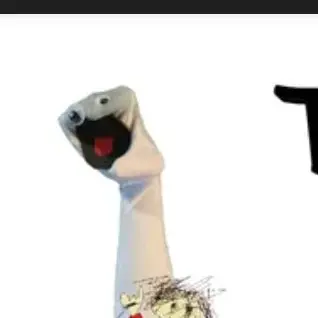 Profile image of 양말빌런