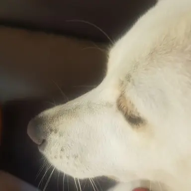 Profile image of 유기사