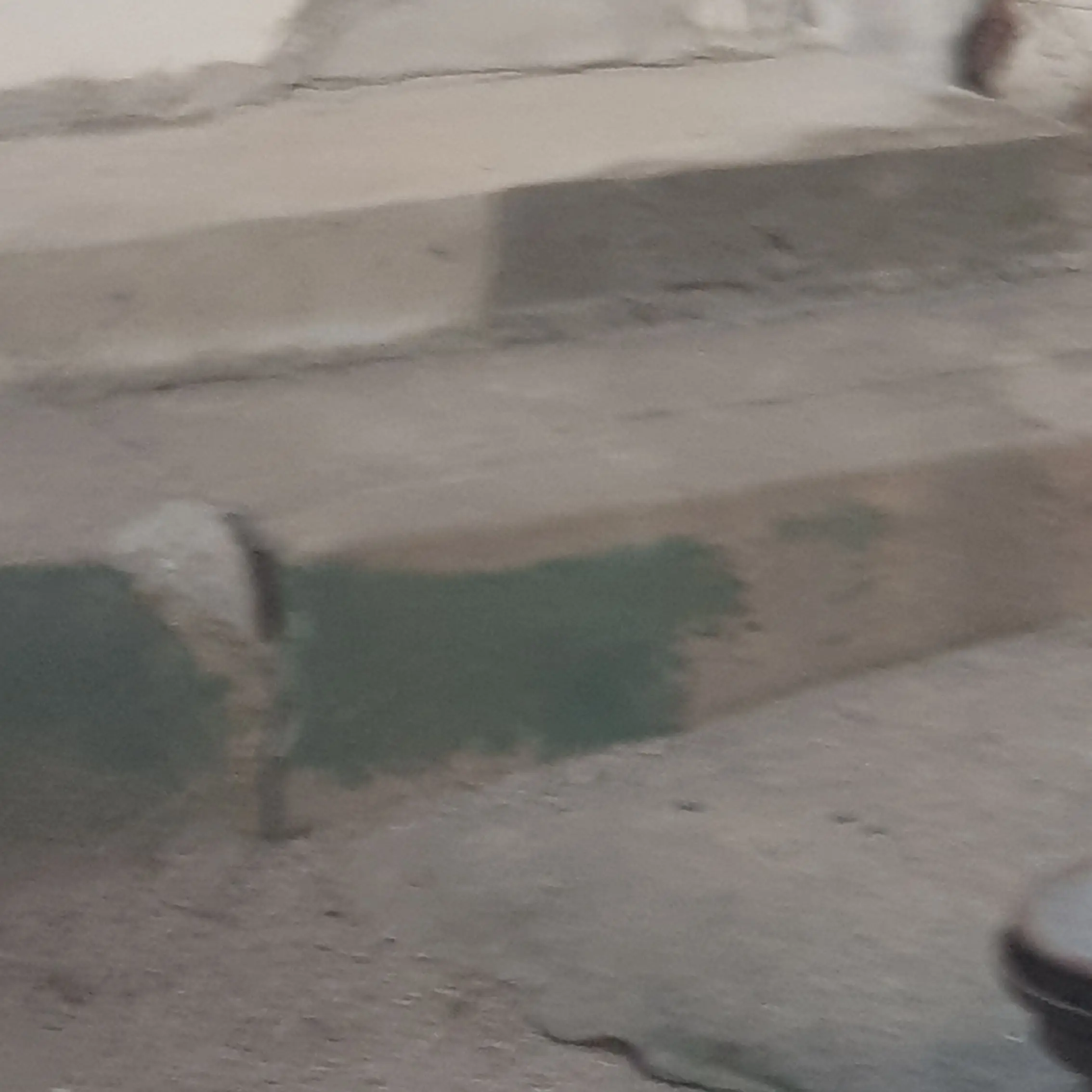 MDKK의 미겜즈유치원에 간 유저?!(동생용)