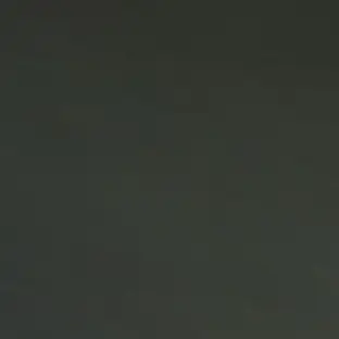 PlacidPetal4596의 ニャワール