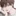 장찬민