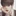 이지성