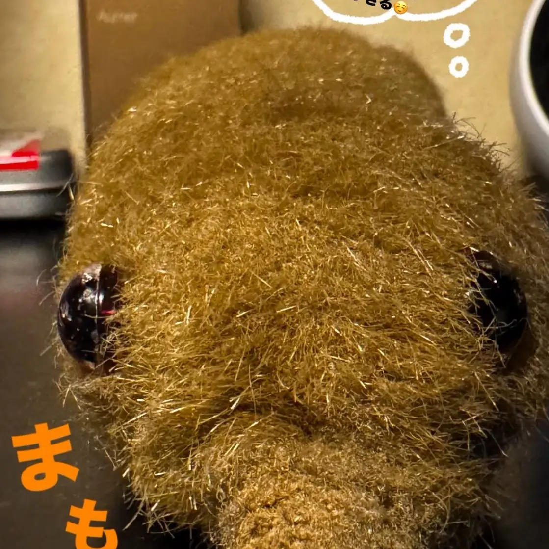 yusuke0920의 甘えん坊の弟