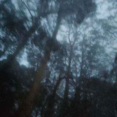 Profile image of 海江田 勇