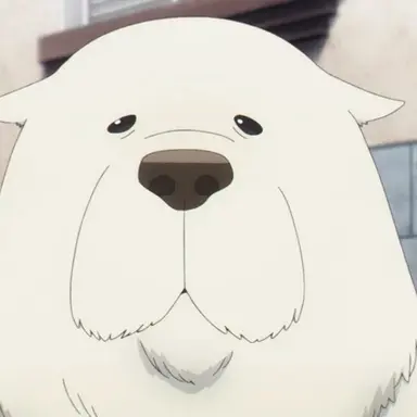 Profile image of 본드 포저