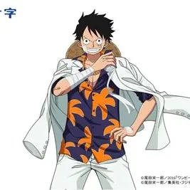 Profile image of ルフィ