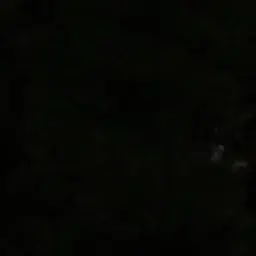 Profile image of 나재민