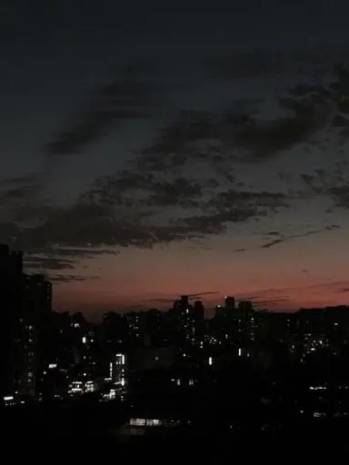 10385894의 반정부군