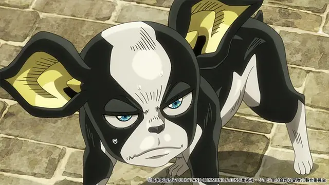 Profile image of イギー