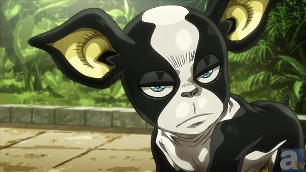 Profile image of イギー