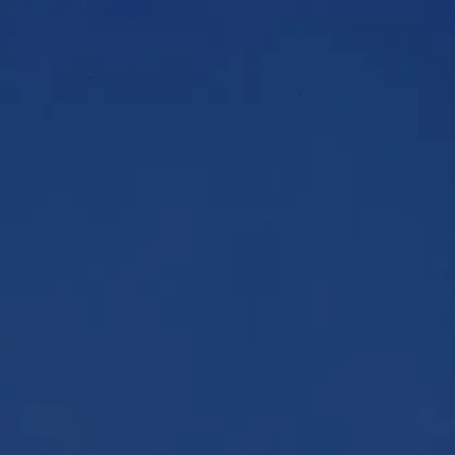 810.1919.0721.76.4545의 先生と園児。