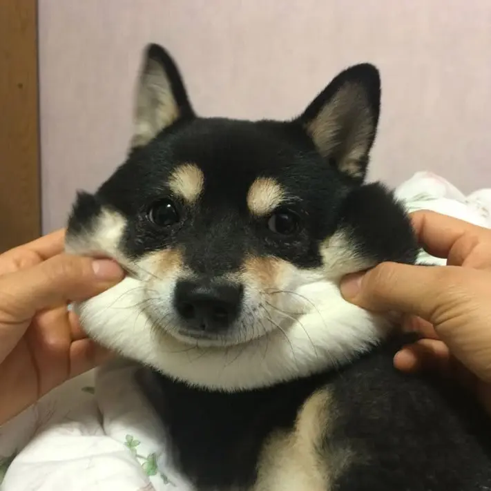 Jeongja_Lin의 이정재