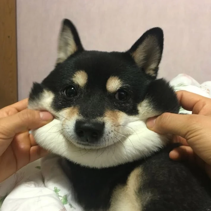 이정재