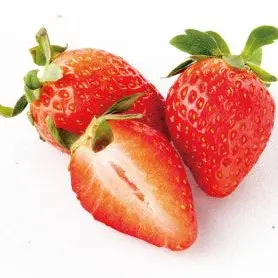 Profile image of 스프라우트