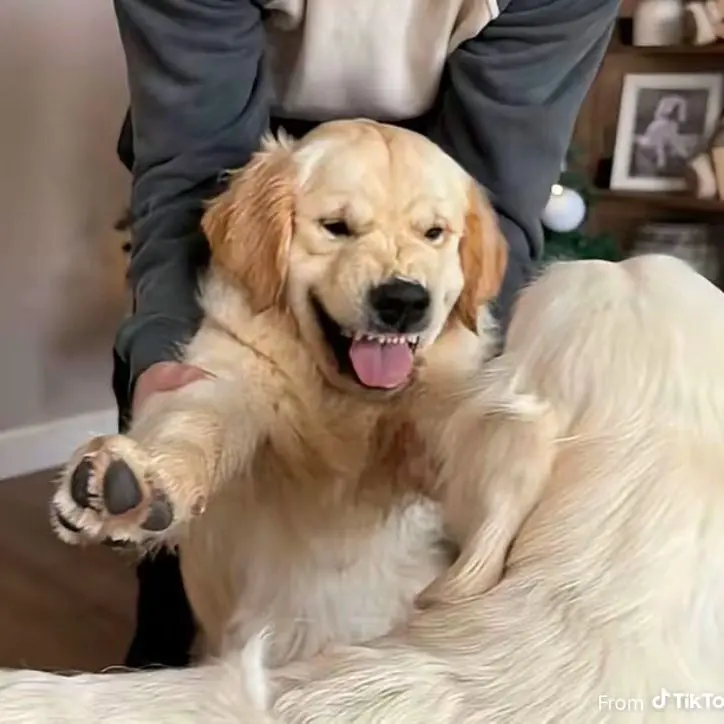 CherryHat2808의 The Secret Admirer