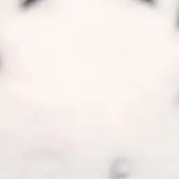 Profile image of りょう