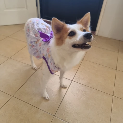 따뜻한친구