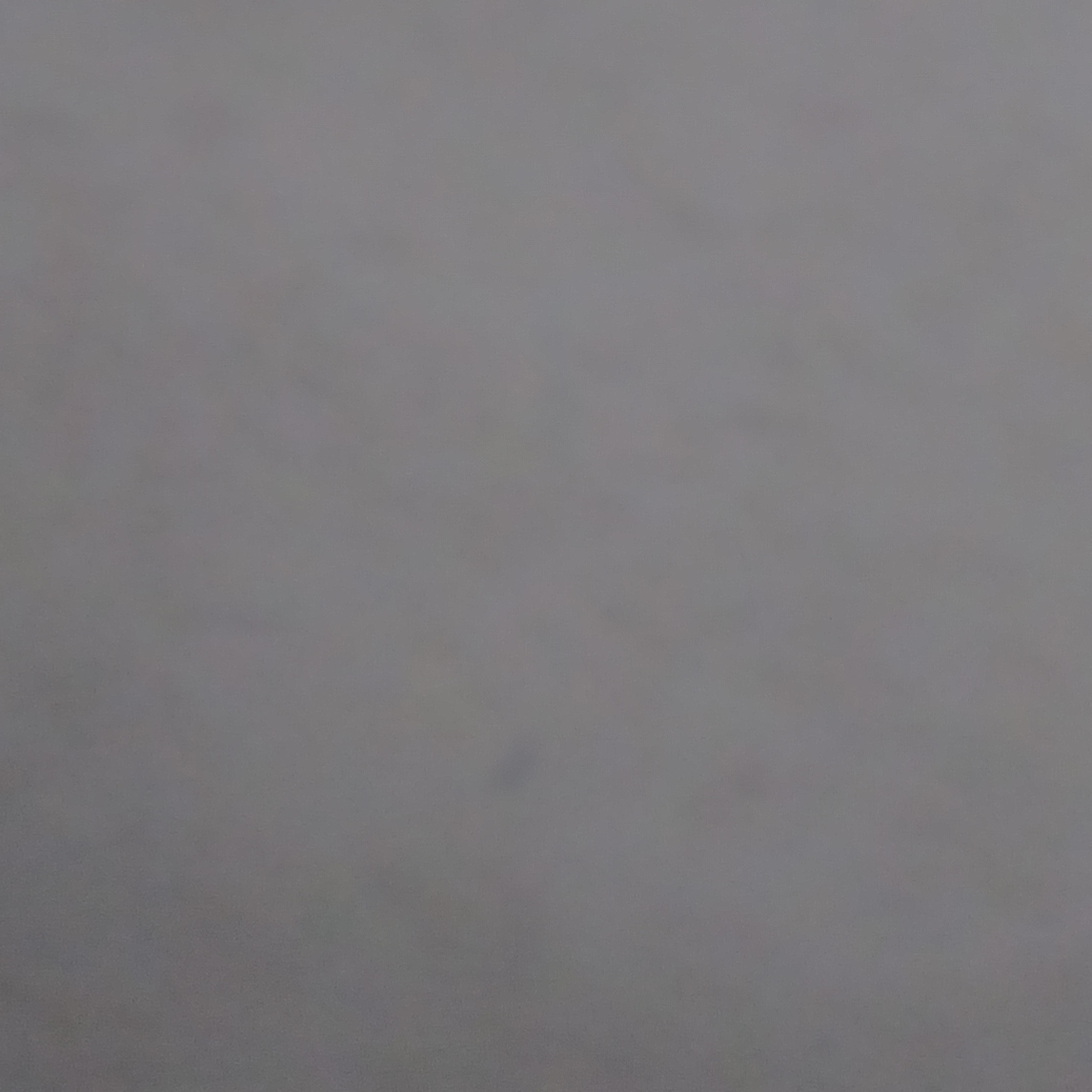 오토 레이니 대표 이미지