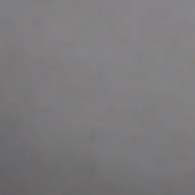 Profile image of 오토 레이니