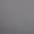 오토 레이니