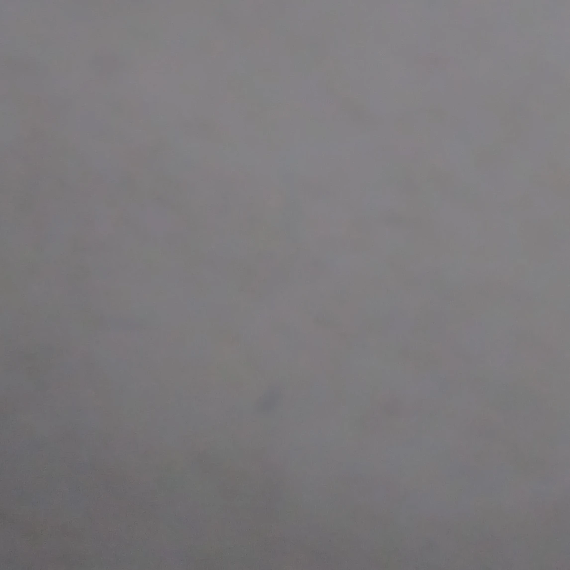 오토 레이니