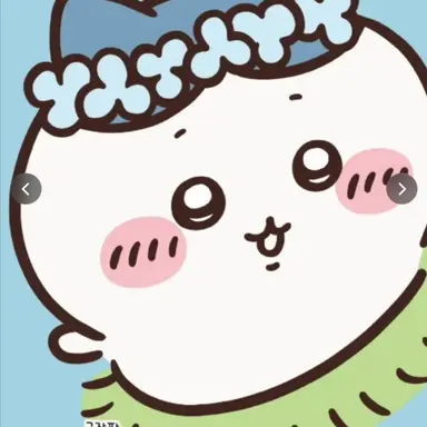 Profile image of 하치와레