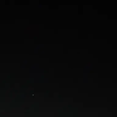 Profile image of 自由