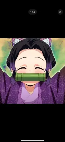 Profile image of Shinobu Kocho