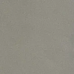 Profile image of ブリ子