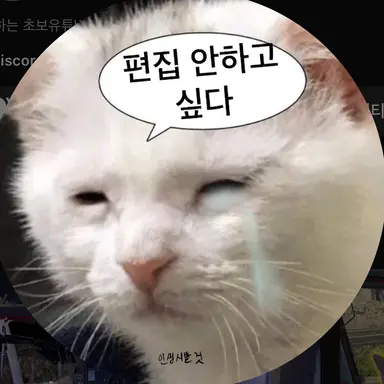 Profile image of ㅅㅌ
