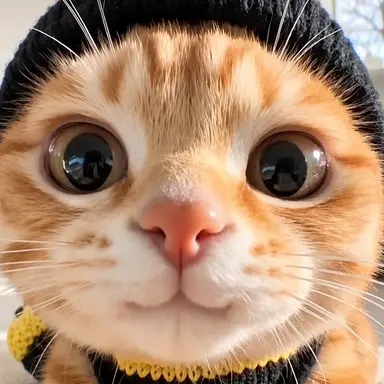Profile image of にゃむ