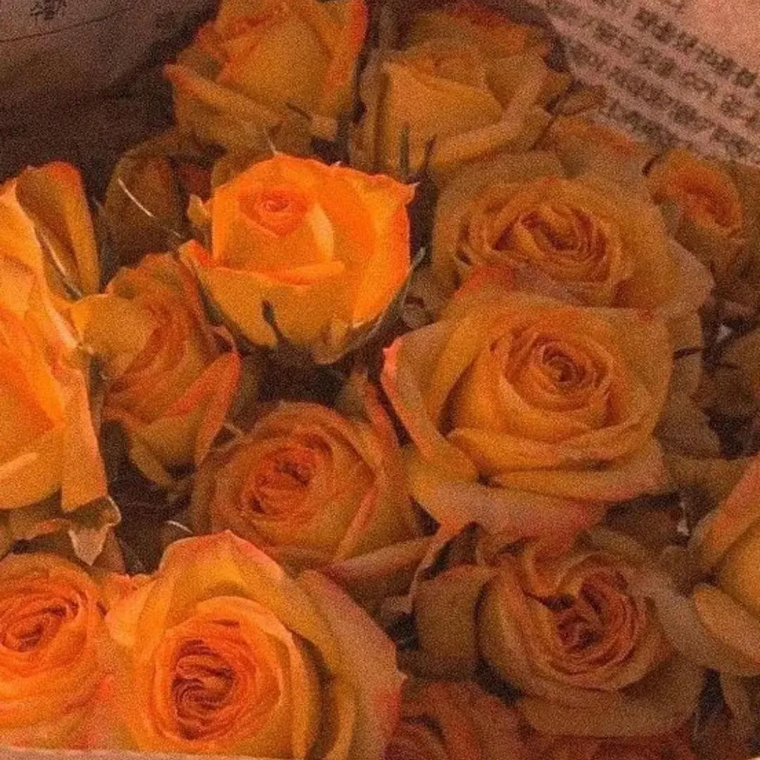 EIEI_Belucky의 어라? 여기 미겜즈 우주선이였어요?