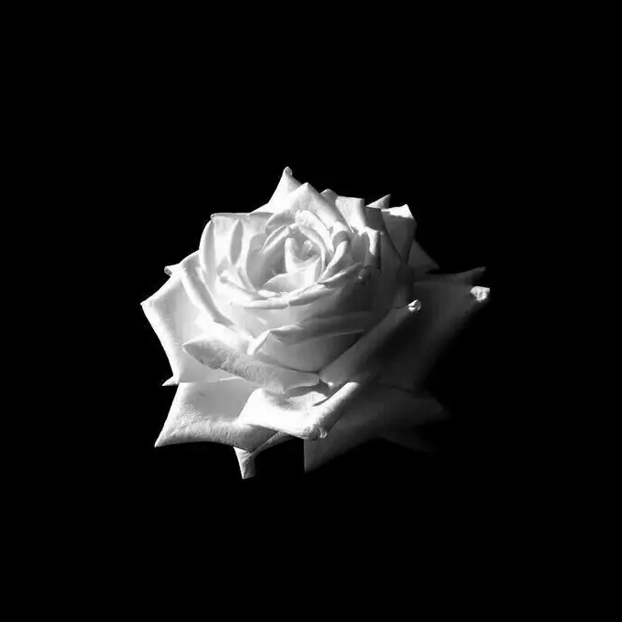 Angel92의 上司概念