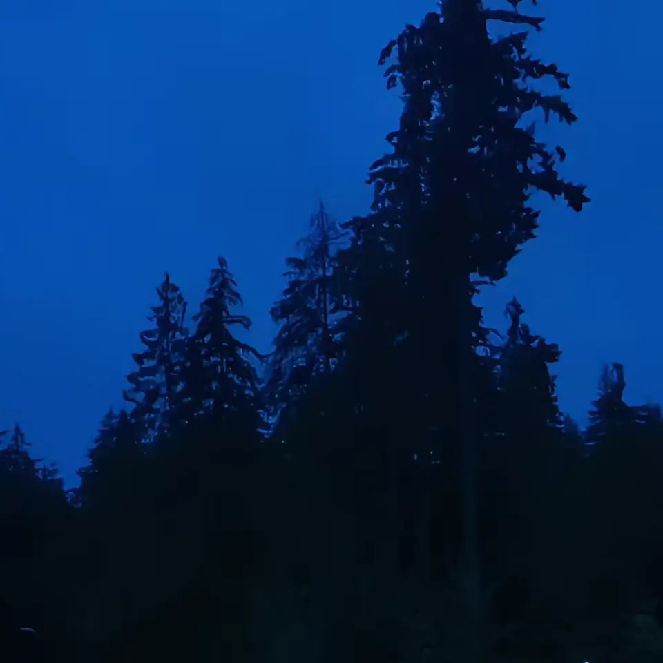 W4txnveev의 _