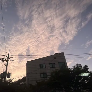 Profile image of 김동혁