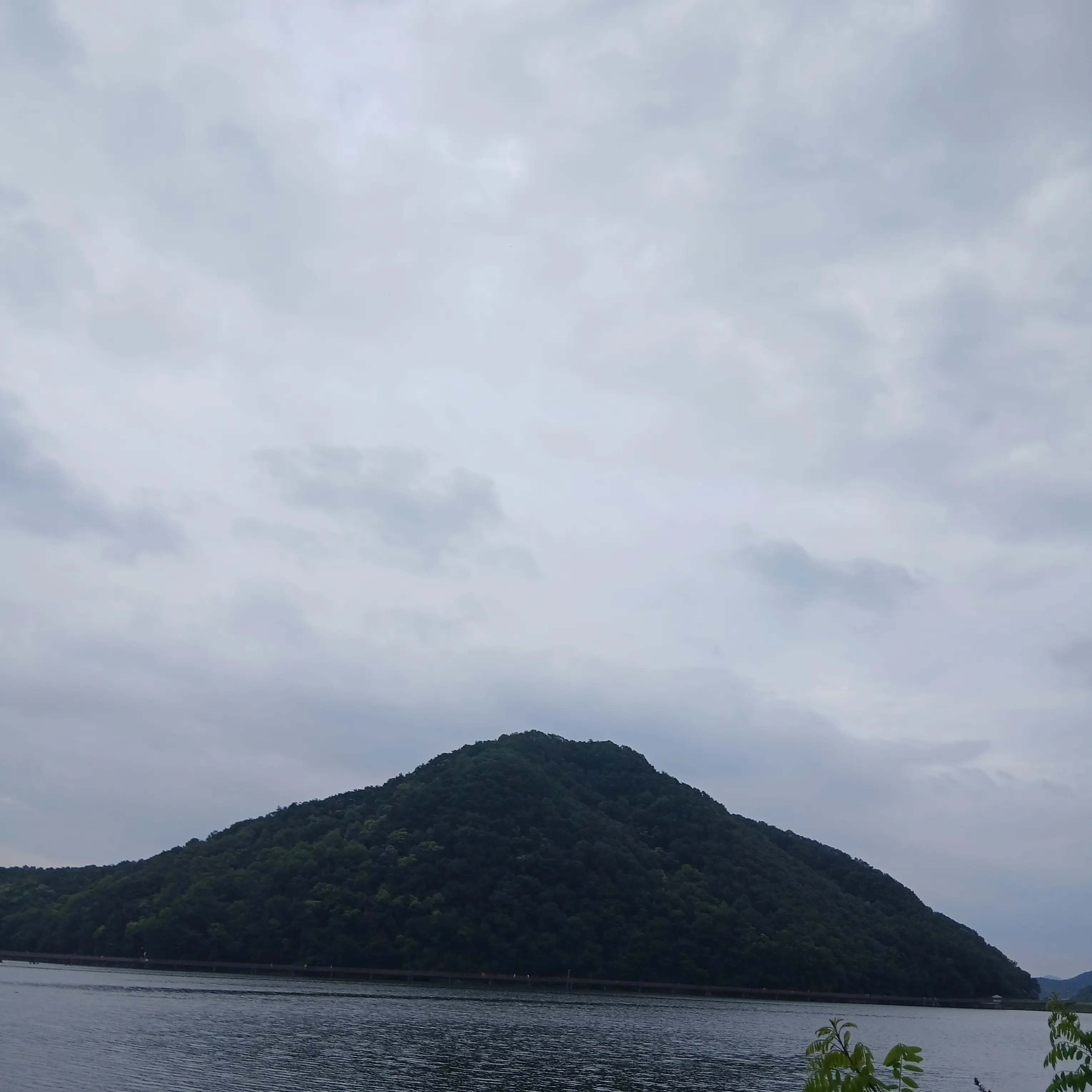 RigidCliff0291의 .