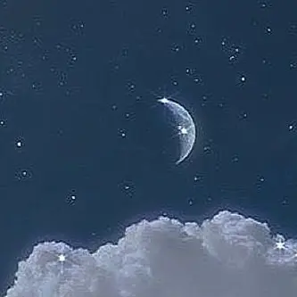Profile image of 空