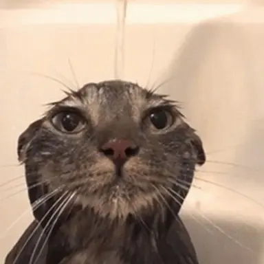 Profile image of 늑대