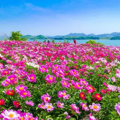 Profile image of 케이트 레드필드